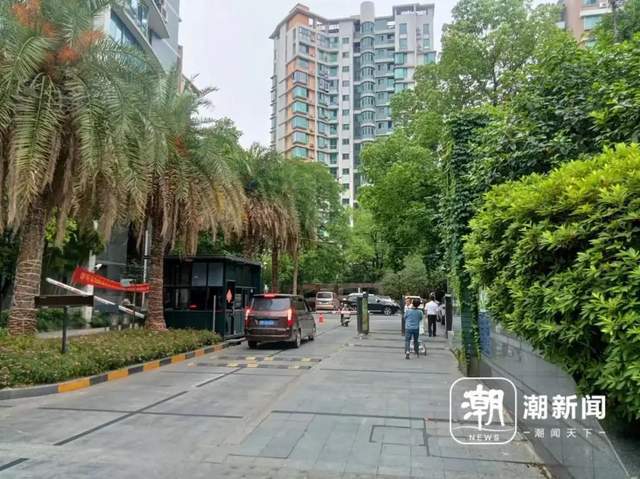 on9star註冊：杭州多人目击：百斤重野猪闯进学校和小区！“跑飞快，随后自己游走了”