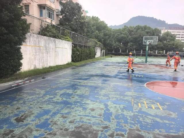 on9star註冊：杭州多人目击：百斤重野猪闯进学校和小区！“跑飞快，随后自己游走了”