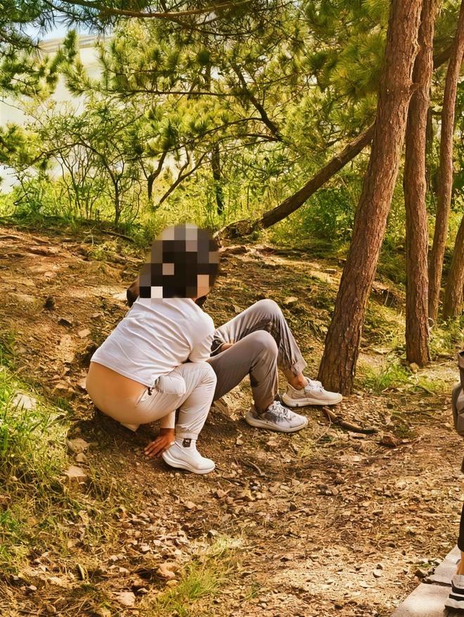 香港現金網：大连梅花鹿连撞两人，受伤女游客发声：我没招惹它，它突然冲过来！景区回应